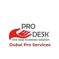 Dubai Pro Services