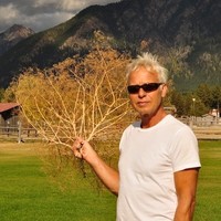 Phil Schmidt
