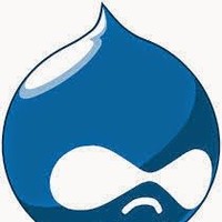 Drupal SEO Expert