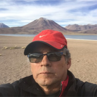 Manuel Alfaro M