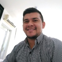 Luis Guillermo Vargas Medina
