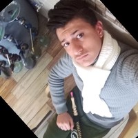 نورس العاشق