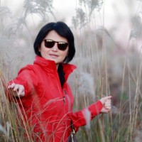 Dan Sun