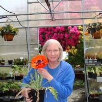 Rhonda Hedquist