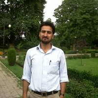 Ansar Hamid Sheikh