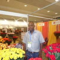 Stephen Wamalwa