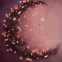donia samer