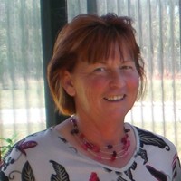 Debbie Turk