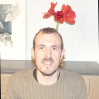 Arnaud Gaudin