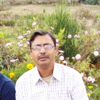 Saroj Khan Bhadury
