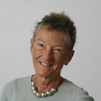 Dianne Willcocks