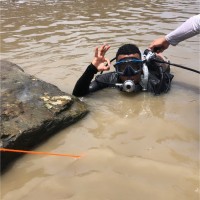 bryan delpiero angulo avila