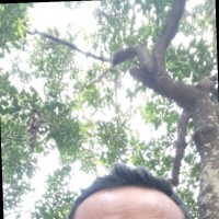 Nyoman Partayasa