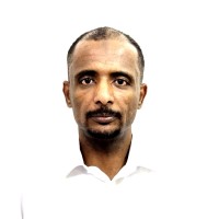 WALEED HAMZA