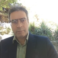 Mohsen Safaee