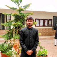 Mohd Aleem
