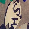 S H Kites