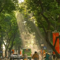 Thảo Lê
