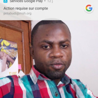 Patrick M. Ntabudi