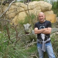 Lee Vint
