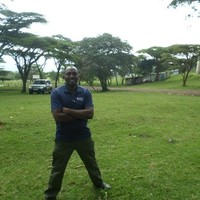 Stephen kyengo