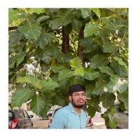 L Nikhil