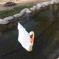 Abdulmuqeeth Mohammed