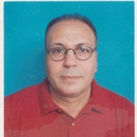 alaa eldin ahmed hafez