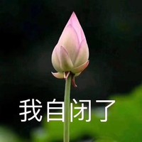 张乐阳