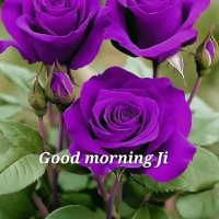 Arvind Kumar Rathore