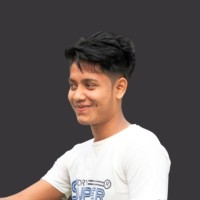 pallab barai