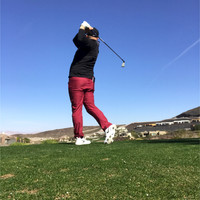 Dave Heavner, Pga