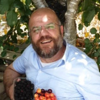 Avi Abramov