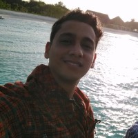 Vivek Negi