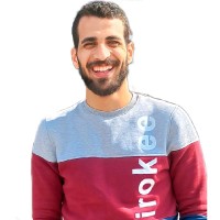 Nader Gerges