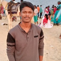 Kalaiyarasan P