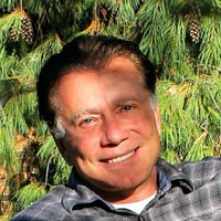 Loren Brelsford