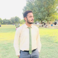 Ameer Hamza