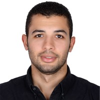 Bahy Hassan