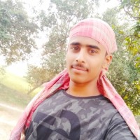 Raman Sarkar