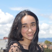 Diana Andrea Clavijo Segura