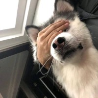 闫姝羽
