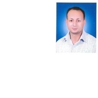 Emad Gerges