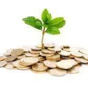 Fluent In Money
