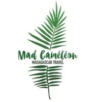 Mad Cameleon