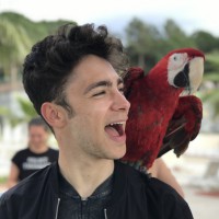 Berke Ergün