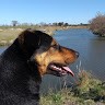 Juan Pablo