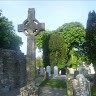 Seamus Bridgeman