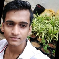 Sankar Krizz