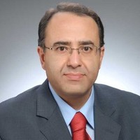 Esat Serhat Guney, Ph.D.